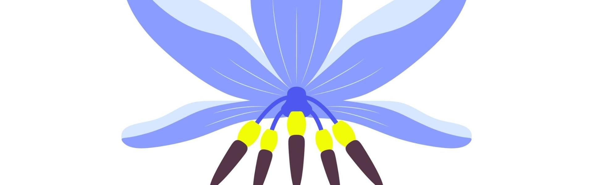 Biyani House LOGO v02